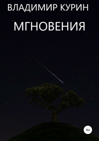 Владимир Сергеевич Курин. Мгновения