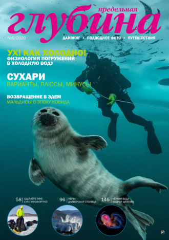 . Предельная Глубина №6/2020