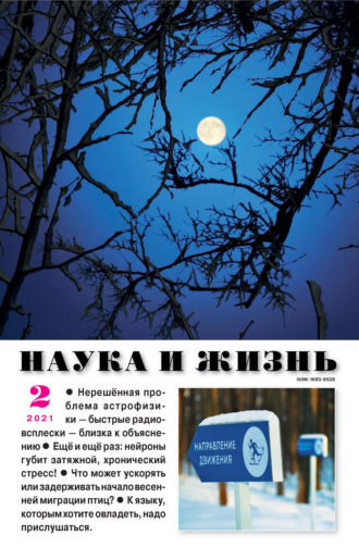. Наука и жизнь №02/2021
