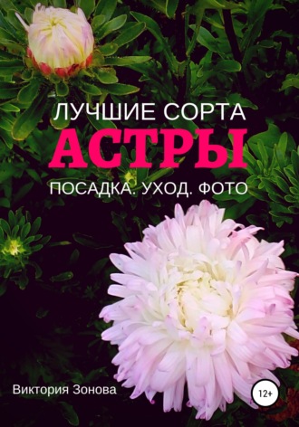 Виктория Зонова. Астры. Лучшие сорта