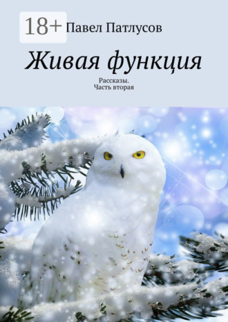 . Живая функция. Рассказы. Часть вторая