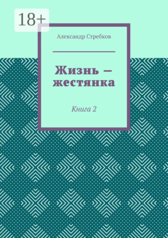 . Жизнь – жестянка. Книга 2