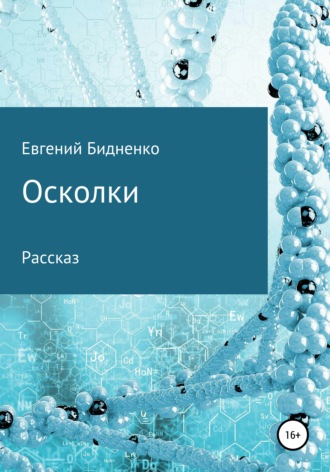 Евгений Бидненко. Осколки. Рассказ