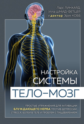 Ларс Линхард. Настройка системы тело – мозг. Простые упражнения для активации блуждающего нерва против депрессии, стресса, боли в теле и проблем с пищеварением
