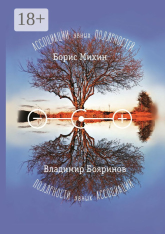 Борис Михин. Ассоциации явных полярностей. Полярности явных ассоциаций