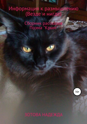 . Информация к размышлению (Везде и нигде). Сборник рассказов. Поэма «Крым»