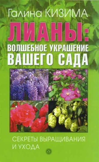 . Лианы: волшебное украшение вашего сада. Секреты выращивания и ухода