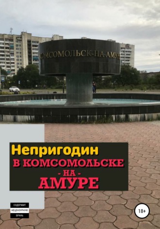 . Непригодин в Комсомольске-на-Амуре