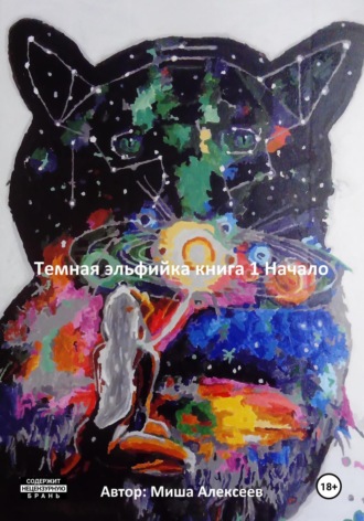 . Темная эльфийка. Книга 1. Начало