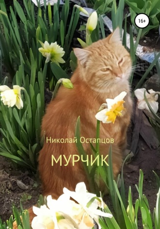 Николай Ричардович Остапцов. Мурчик