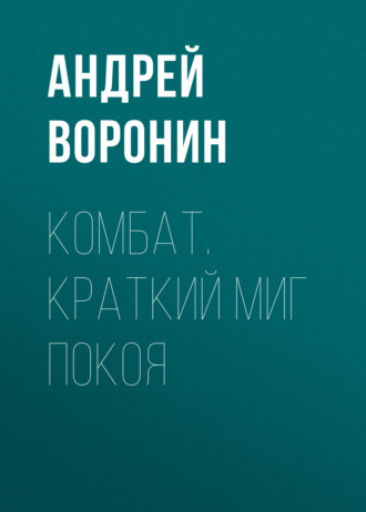 . Комбат. Краткий миг покоя