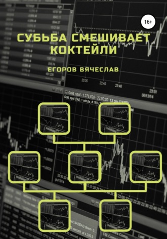 Вячеслав Анатольевич Егоров. Судьба смешивает коктейли