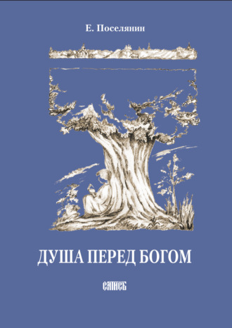 Евгений Поселянин. Душа перед Богом