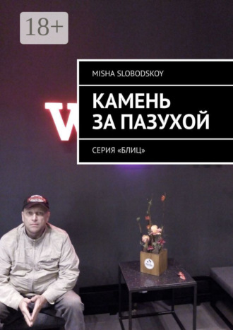 . Камень за пазухой. Серия «Блиц»