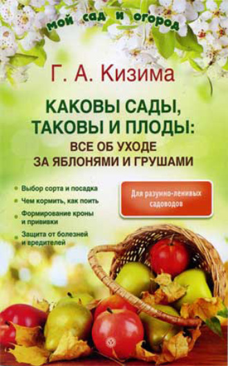 . Каковы сады, таковы и плоды: все об уходе за яблонями и грушами