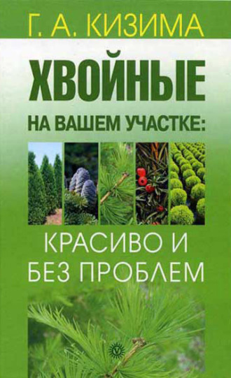 . Хвойные на вашем участке: красиво и без проблем