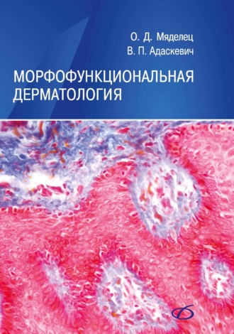 Владимир Адаскевич. Морфофункциональная дерматология