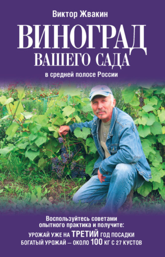 . Виноград вашего сада в средней полосе России