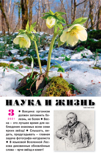. Наука и жизнь №03/2021