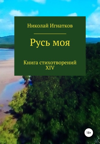 . Русь моя. Книга XIV