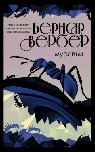 . Муравьи