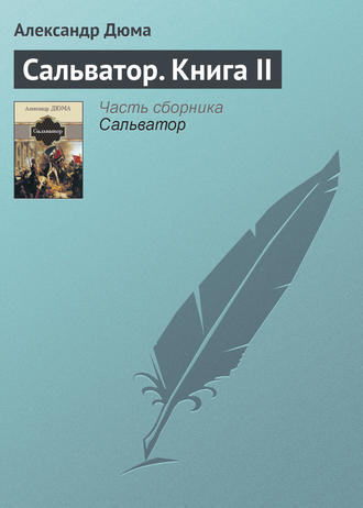 . Сальватор. Книга II