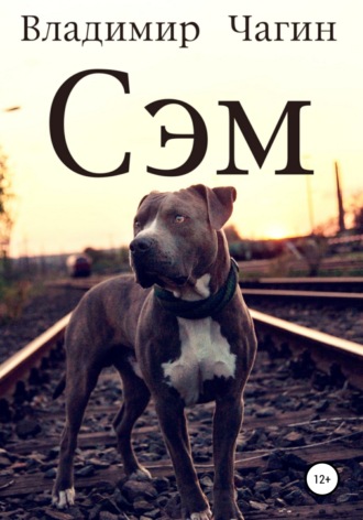 . Сэм