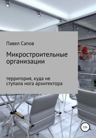 Павел Сапов. Микростроительные организации