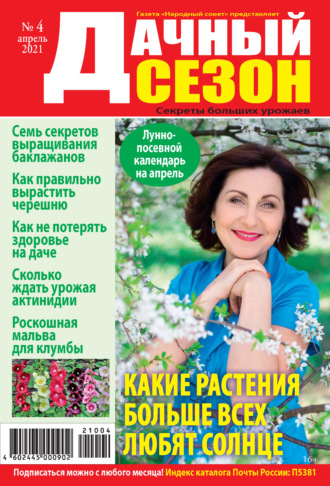 . Дачный сезон №04/2021