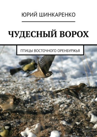 . ЧУДЕСНЫЙ ВОРОХ. Птицы Восточного Оренбуржья
