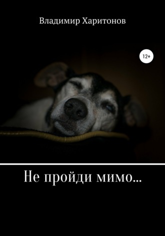 . Не пройди мимо…