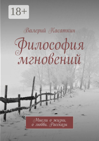 Валерий Касаткин. Философия мгновений