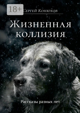 Сергей Конюхов. Жизненная коллизия
