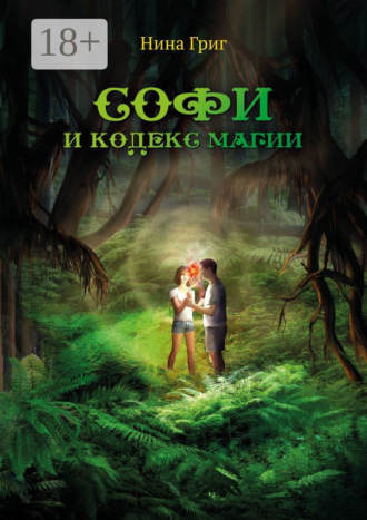 . Софи и кодекс магии
