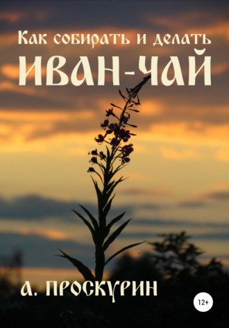 Александр Алексеевич Проскурин. Как собирать и делать иван-чай