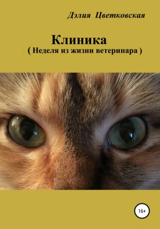 . Клиника. Неделя из жизни ветеринара