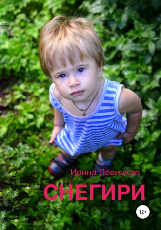 . Снегири