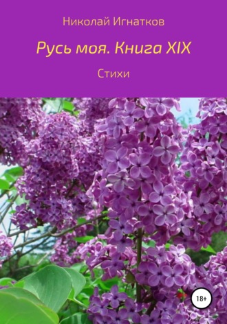 Николай Игнатков. Русь моя. Книга 19