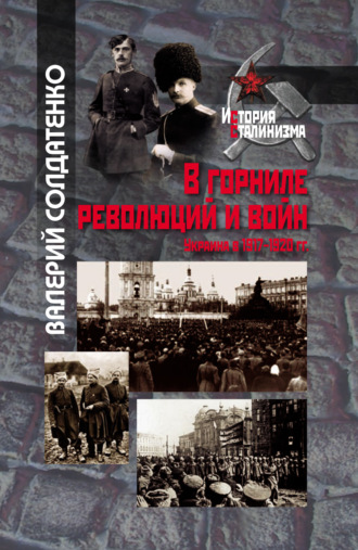 . В горниле революций и войн: Украина в 1917-1920 гг. историко-историографические эссе