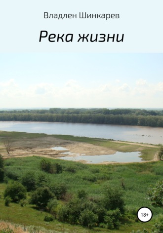 Владлен Петрович Шинкарев. Река жизни