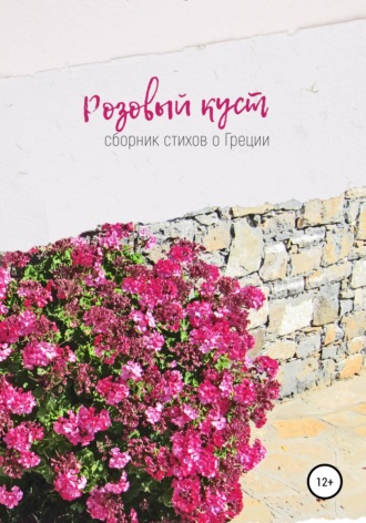 Ирина Сухолет. Розовый куст