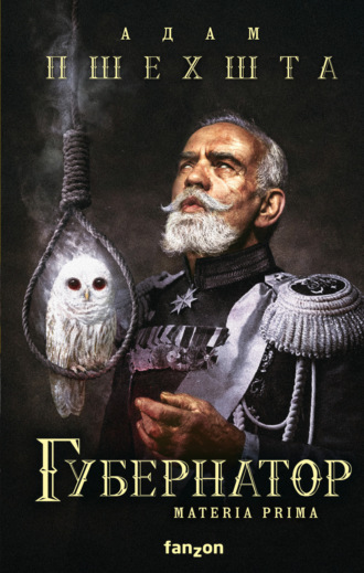. Губернатор