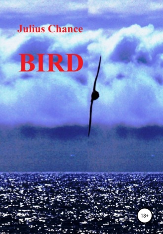 . Bird