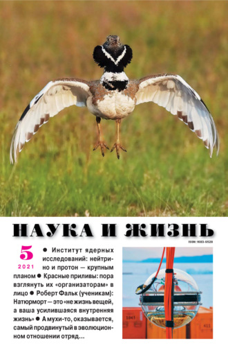 . Наука и жизнь №05/2021