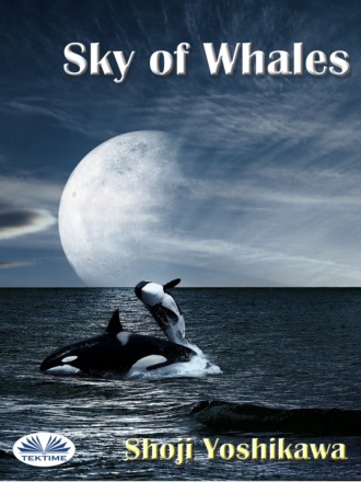 . Sky Of Whales