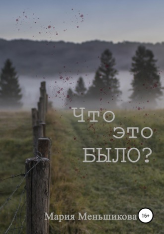 Мария Меньшикова. Что это было?