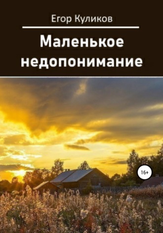 . Маленькое недопонимание