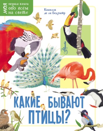Камилла де ла Бедуайер. Какие бывают птицы?