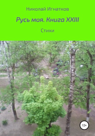 Николай Игнатков. Русь моя. Книга XXIII