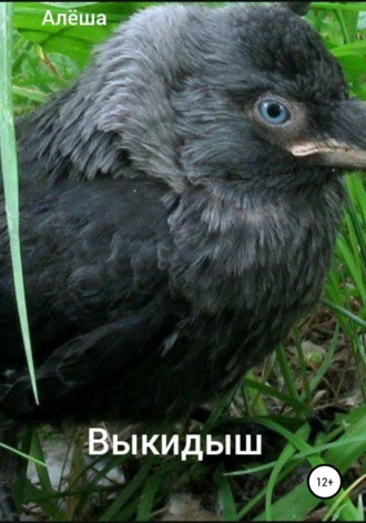 . Выкидыш